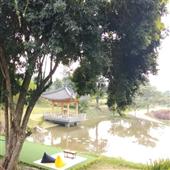 Hợp