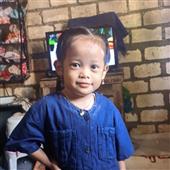 Bản