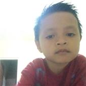 Chim