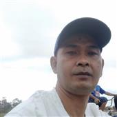 Cung