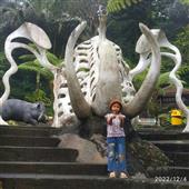 Gat