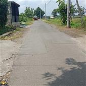 Trái