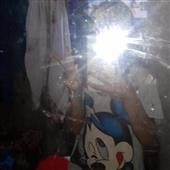 FuWa