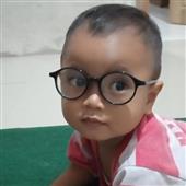 Luật