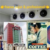 Sự T