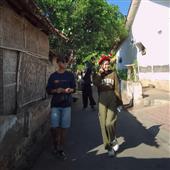 Sói