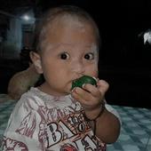 Giả