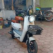 Bạo