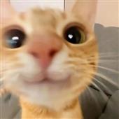 Chiế
