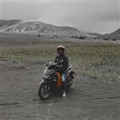 Rắn 