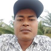 Cỏ 