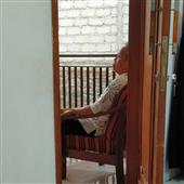 Chỉ 