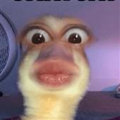 Cand