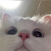 Cuộc