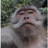 Khu 