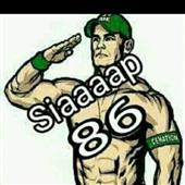 6 bò