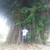 Ưu n