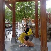 Gấu