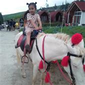 Chiế