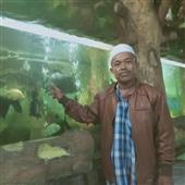 Dự 