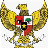 Chơi