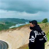 Giả