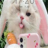 Lịc