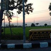 Giải