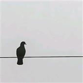 Ang