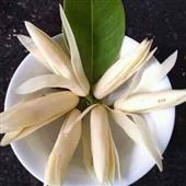 Lễ 