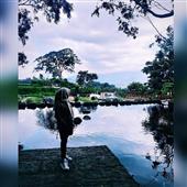 Luật