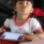 Gấu