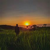 Vỡ n