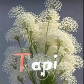Lưới