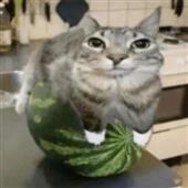 Đá 