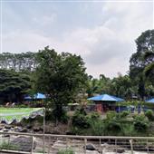 Tỷ 