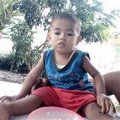 Luật