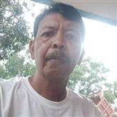 Chó 