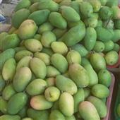 Cưỡi
