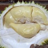 Băng