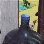 3 đi
