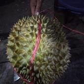 Guồ