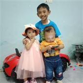 Sự T