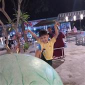 Giả