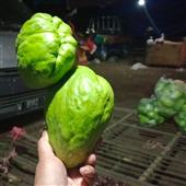Thể