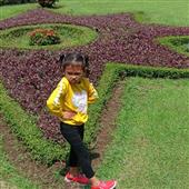 stak
