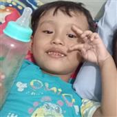 Bầy