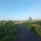 Stri