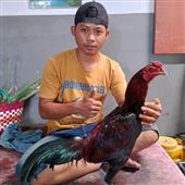 Giải