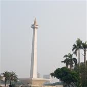 Thả 